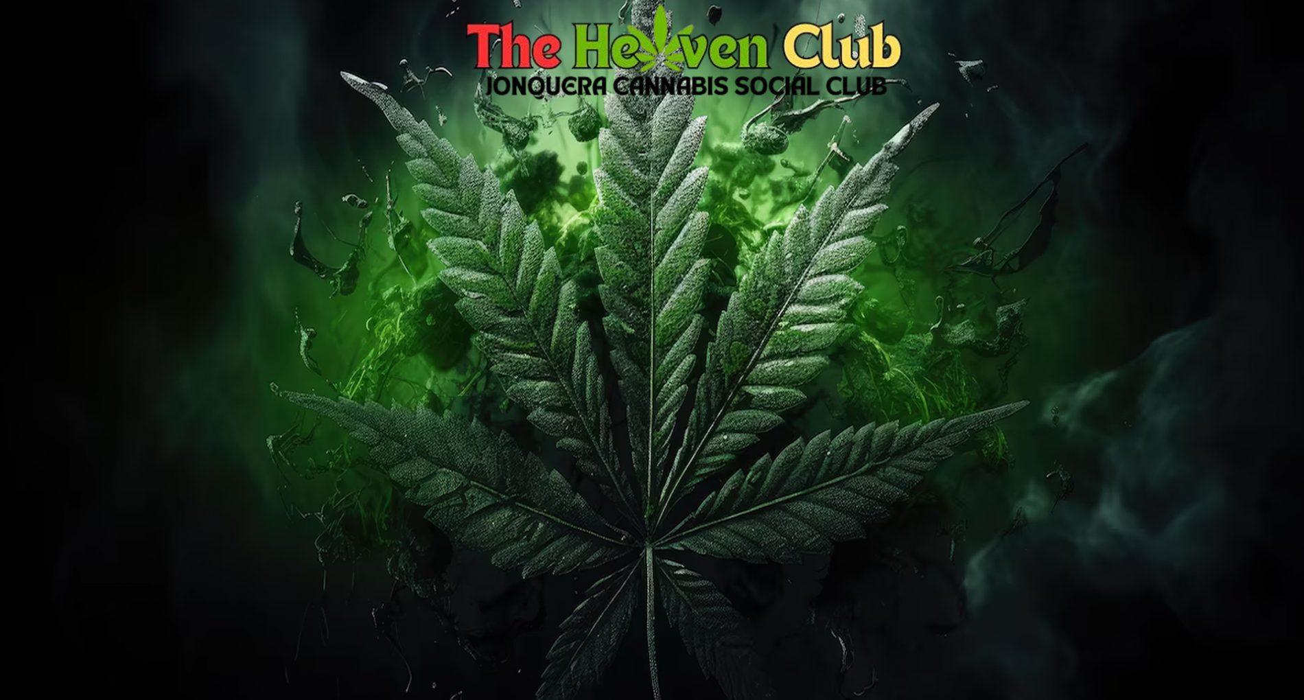 Comptoir du Cannabis Social Club The Heaven Club présentant une sélection de produits de haute qualité dans une ambiance élégante