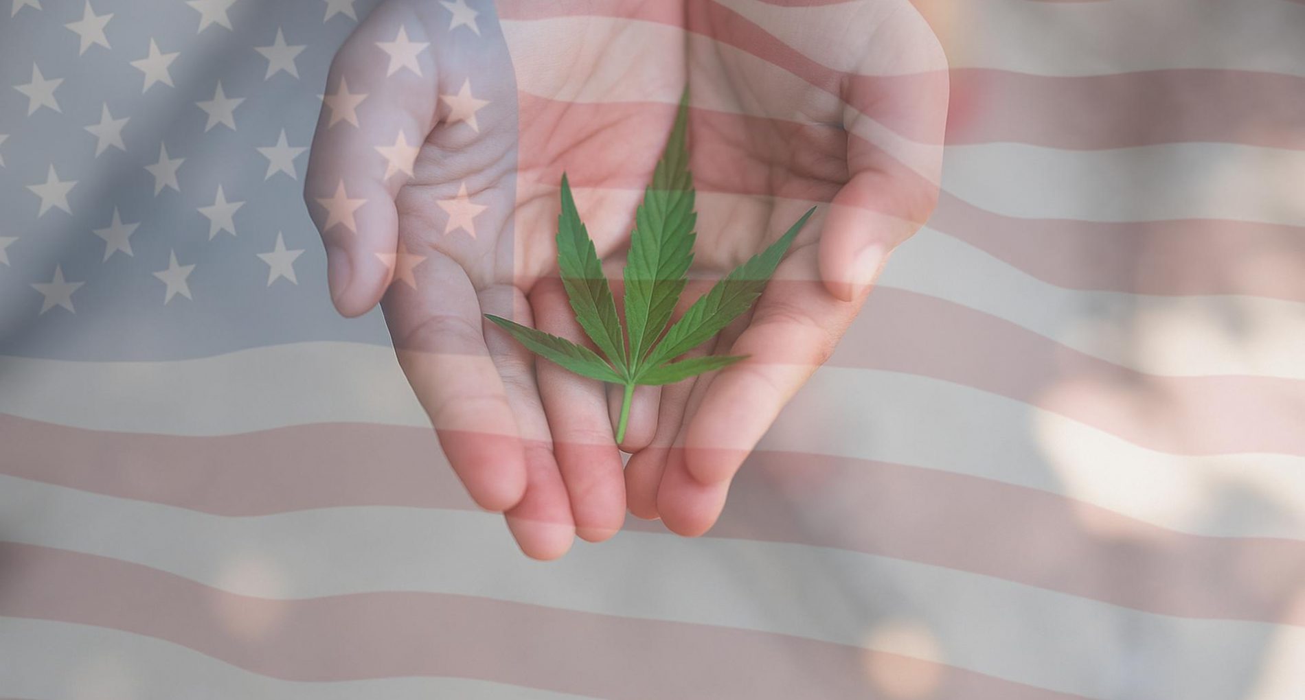 Mains ouvertes tenant une feuille de cannabis avec un drapeau américain en transparence à l’arrière-plan, illustrant la question de la reclassification du cannabis aux États-Unis