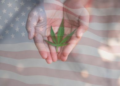 Mains ouvertes tenant une feuille de cannabis avec un drapeau américain en transparence à l’arrière-plan, illustrant la question de la reclassification du cannabis aux États-Unis