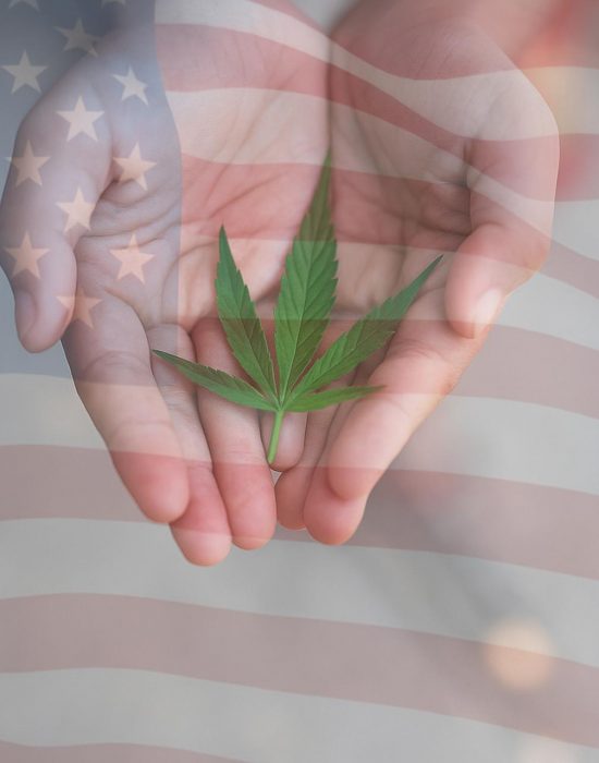 Mains ouvertes tenant une feuille de cannabis avec un drapeau américain en transparence à l’arrière-plan, illustrant la question de la reclassification du cannabis aux États-Unis
