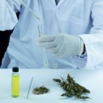 Illustration des découvertes médicales 2025 sur les cannabinoïdes avec CBD, THC, ADN et matériel médical