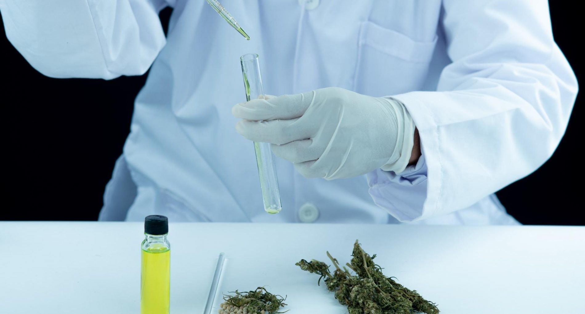Illustration des découvertes médicales 2025 sur les cannabinoïdes avec CBD, THC, ADN et matériel médical