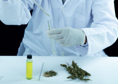 Illustration des découvertes médicales 2025 sur les cannabinoïdes avec CBD, THC, ADN et matériel médical