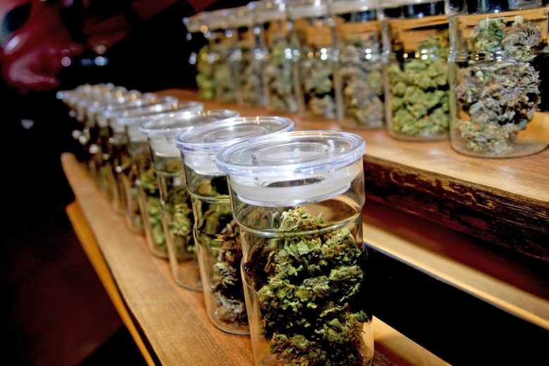 Protéger les Cannabis Social Clubs à Barcelone – Responsabilité des membres au Heaven Club